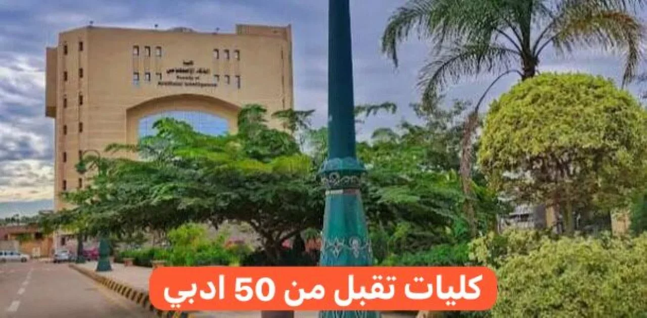 معاهد كليات تقبل من 50 ادبي في مصر.. وما هو الحد الأدنى للمرحلة الأولى