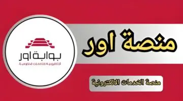 عبر منصة أور.. طريقة التقديم على المعين المتفرغ بالعراق والشروط اللازمة للقبول 2024