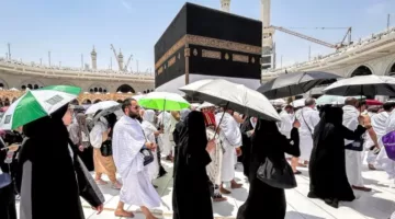 “مبروك” رابط الاستعلام عن نتائج قرعة الحج العراق 2024 وشروط التسجيل hajj.gov.iq