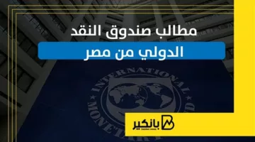 مطالب صندوق النقد الدولي من مصر | إنفوجراف