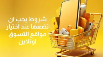 شروط يجب ان تضعها عند اختيار مواقع التسوق اونلاين