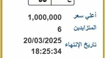 ج 55.. لوحة مرور مميزة بسعر مليون جنيه