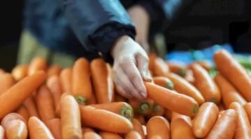 أطعمة غنية بفيتامين أ أكثر من الجزر- مفيدة للعين