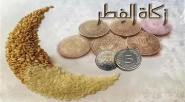 زكاة الفطر 2025.. كم تبلغ قيمتها للشخص الواحد بالحبوب والنقود؟