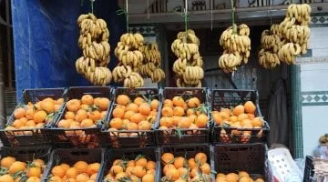 ارتفاع أسعار الفاكهة في مطروح اليوم الخميس 31-7-2025.. تعرف على سعر الكنتالوب بعد القفزة الجديدة