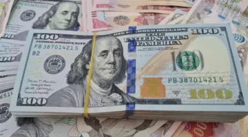 استقرار جديد في سعر الدولار مقابل الجنيه المصري.. تعرف على السعر اليوم الخميس 24-7-2025