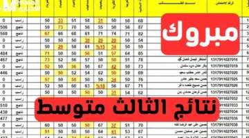 اعرف نتيجتك في الثالث المتوسط 2025 برقم الامتحان الآن