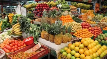بشرى للدايت اليوم.. 4 فواكه من بينها الكيوي والتفاح تساعد على خسارة الوزن سريعًا والدكتور حسام موافى يحذر من 4 أخرى يجب الامتناع عنها في النظام الغذائي