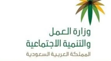 «تحديث مهم» نظام مكتب العمل الجديد 1447 في السعودية كيف يؤثر على العاملين؟