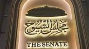 تفعيل تصويت المصريين بالخارج في انتخابات مجلس الشيوخ 2025 اليوم: كيف تتم العملية؟