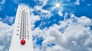 رسميًا.. الأرصاد تعلن درجات الحرارة وحالة الطقس غدًا الخميس 2024