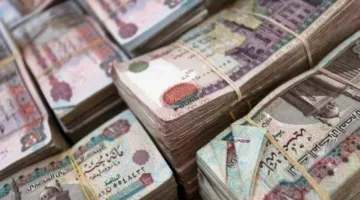 رسميًا.. موعد صرف معاشات شهر سبتمبر 2025 وأبرز التفاصيل التي يجب معرفتها اليوم