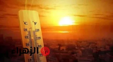 غدًا السبت 9 أغسطس: الأرصاد تحذر من أمطار رعدية وارتفاع مفاجئ في درجات الحرارة – تعرف على المناطق المتأثرة