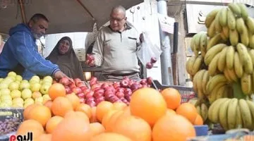 قفزة أسعار الفاكهة في أسواق الأقصر اليوم الخميس 7 أغسطس 2025.. كم بلغت؟
