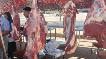 قفزة أسعار اللحوم في كفر الشيخ الجمعة 1 أغسطس 2025.. كم بلغ السعر اليوم؟