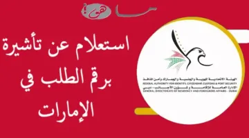 «متابعة سهلة» استعلام عن تأشيرة برقم الطلب في الإمارات تعرف على الحالة فوراً
