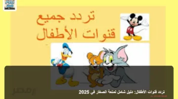 «متعة مضمونة» دليل متعة الصغار في 2025 تعرف على أفضل الأنشطة والألعاب المميزة