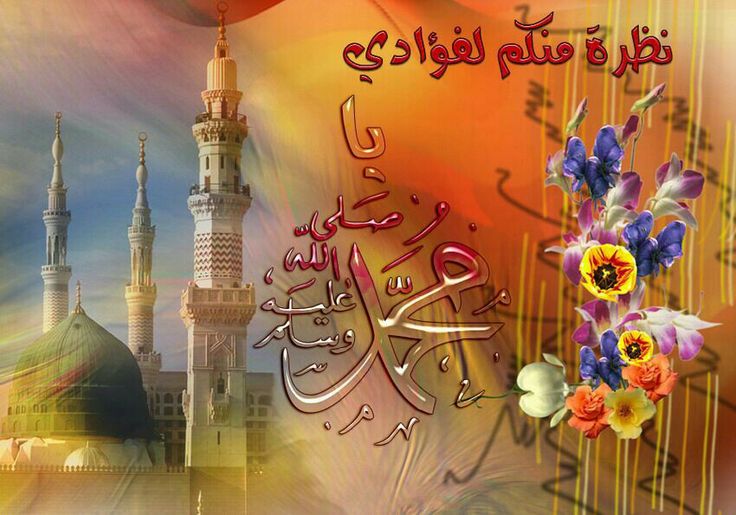 شارك الفرحة والبركة.. أفضل رسائل التهنئة بالمولد النبوي الشريف للواتساب والفيسبوك
