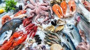 أسعار الأسماك في سوق العبور اليوم الأحد 30 نوفمبر