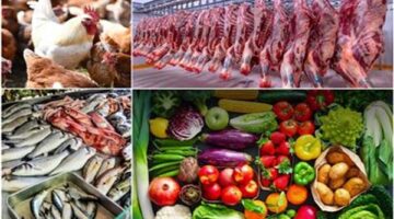 أسعار الأسماك والدواجن بالأسواق المحلية السبت 29 نوفمبر 2025