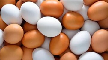 أسعار البيض تصل إلى 4.5 جنيه في سوهاج مع استقرار الفول والعدس