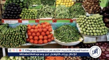 أسعار الخضروات في قنا الأحد 30-11-2025: تحديث الأسعار اليومية