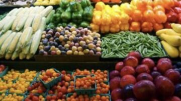 أسعار الخضروات والفاكهة اليوم تسجل استقرارًا مع تباين في الأصناف
