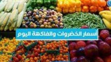 أسعار الخضروات والفواكه ترتفع بشكل ملحوظ في أسوان السبت 29 نوفمبر 2025