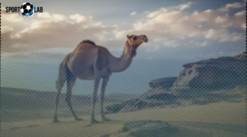 السعودية تعلن إيقاف الدراسة 7 أيام متتالية في جميع المناطق لأول مرة