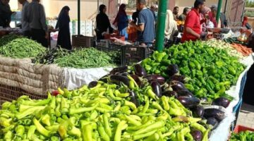 تراجع مستمر في أسعار الخضر والفاكهة بالوادي الجديد