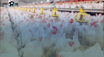 تعرف على جدول الأيام البيض لشهر جمادى الأولى 2025