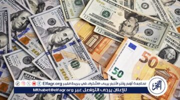 تعرف على أسعار العملات مقابل الجنيه المصري في أسوان اليوم