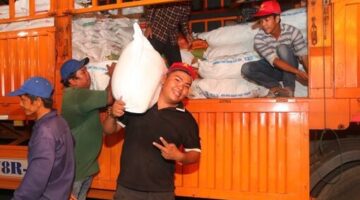 حافلات مليئة بالحب تُغير وجه النقل في المدينة