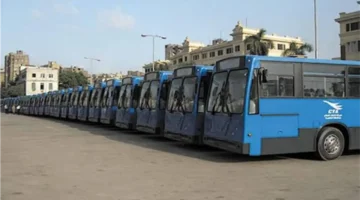 وظائف هيئة النقل العام بالقاهرة: مهارات ومؤهلات مطلوبة للانضمام للفريق