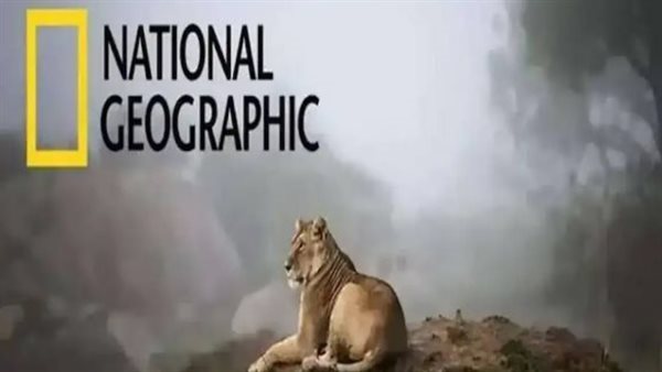 نزل التردد الجديد.. ناشيونال جيوغرافيك على نايل سات وعرب سات 2025 - sports-leb