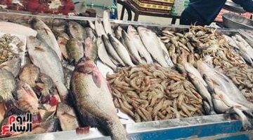 أسعار الأسماك اليوم في أسواق مطروح: الدراك 160 جنيهًا (الاثنين 8-12-2025)