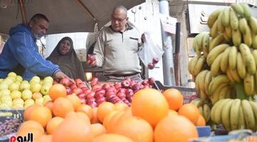 أسعار البرتقال واليوسفي في الأقصر: فاكهة الشتاء كعلاج فعال لنزلات البرد