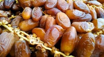 أسعار البلح بأسواق مطروح اليوم: الواحاتي 50 جنيه فقط