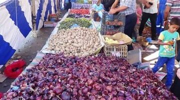 أسعار الخضار والفاكهة مستقرة في المنوفية اليوم الأحد: أسعار كل نوع بالتفصيل