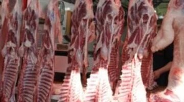 أسعار اللحوم بكفر الشيخ اليوم: كم سعر الكيلو الأربعاء 10 سبتمبر 2025