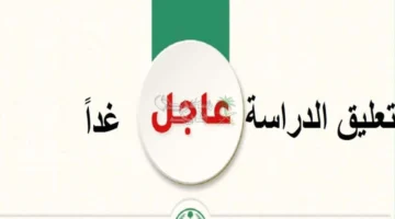 إعلان جديد: تعليق الدراسة في السعودية غدًا الأربعاء بعدد من المناطق