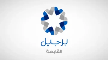 إعلان جديد.. تعيين رئيس مجلس برجيل القابضة رئيسًا تنفيذيًا للشركة