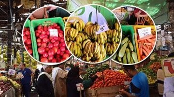 استقرار يطمئن في أسعار الفاكهة بأسواق الأقصر السبت 6 ديسمبر 2025