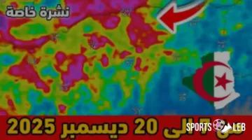 الأجواء باردة.. طقس الجزائر الخميس 11 ديسمبر 2025 يستقر دون أمطار كثيفة