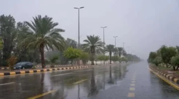 الأرصاد تُحذر: أمطار رعدية مع صقيع وضباب تغطي هذه المناطق اليوم