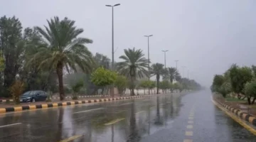 الأرصاد تُحذر: أمطار رعدية مع صقيع وضباب تغطي هذه المناطق اليوم