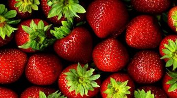 الرمان والفراولة بـ15 جنيه.. أسعار الفاكهة اليوم السبت 13 ديسمبر