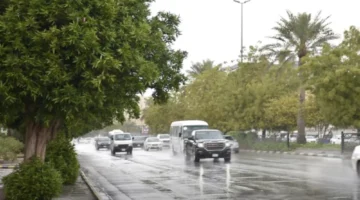 الشرقية تتقدم في كميات الأمطار بـ31 ملم عبر السعودية