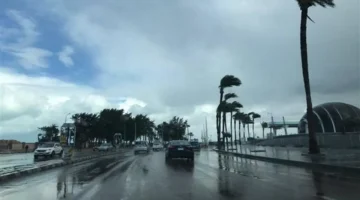 بداية الشتاء الفلكي.. توقعات الطقس في مصر 21 ديسمبر 2025