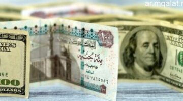 تحديث مهم.. سعر الدولار أمام الجنيه المصري اليوم بشركات الصرافة